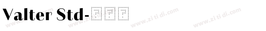 Valter Std字体转换